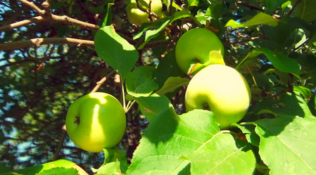 Similar image 6458405