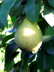 Similar image 6458413