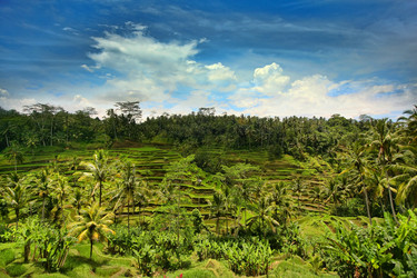 Similar image 6458858