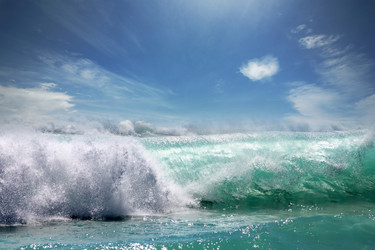 Similar image 6458861