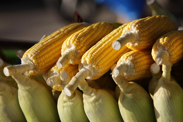 Similar image 6458878