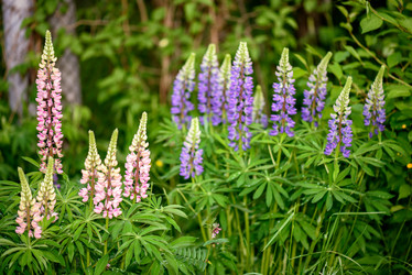 Similar image 6458937