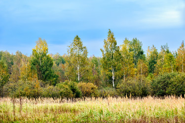 Similar image 6458940