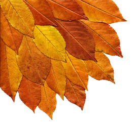 Similar image 6458971