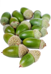 Similar image 6458972