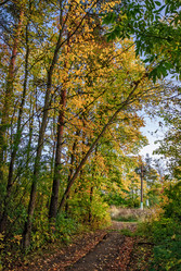 Similar image 6458976