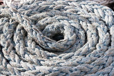 Similar image 6459139