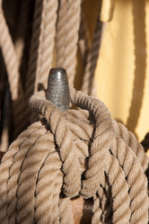 Similar image 6459143