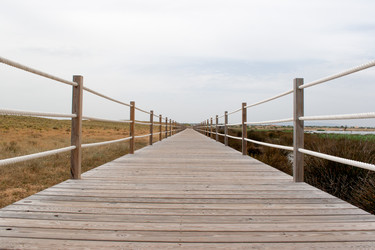 Similar image 6459235