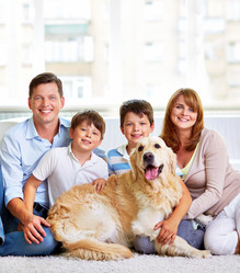 Similar image 6459497