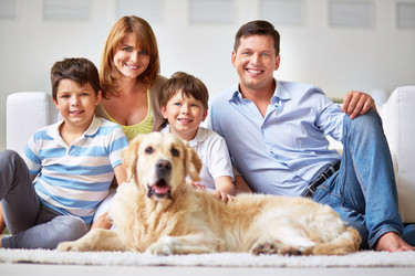 Similar image 6459504