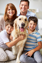 Similar image 6459516