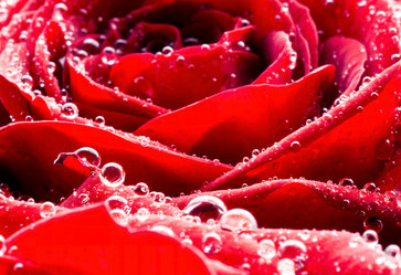 Similar image 6459858