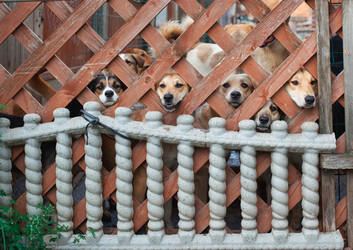 Similar image 6459868