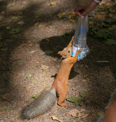 Similar image 6459873