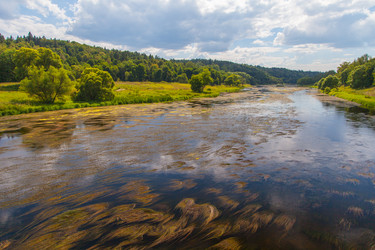 Similar image 6459890