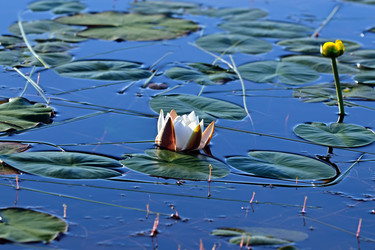 Similar image 6459943