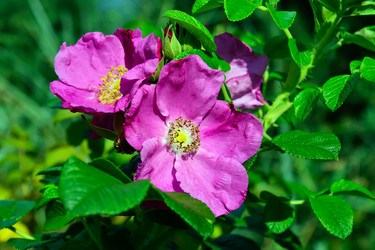 Similar image 6459947