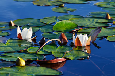 Similar image 6459948