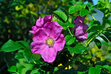 Similar image 6459959