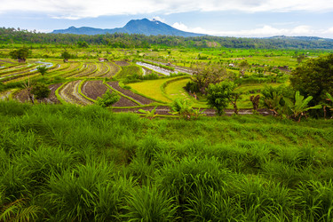 Similar image 6459979