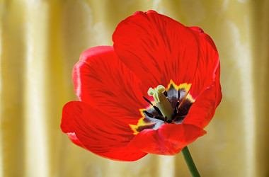 Similar image 6460023