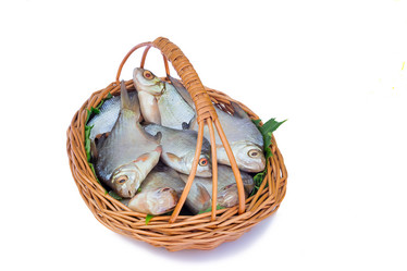 Similar image 6460029