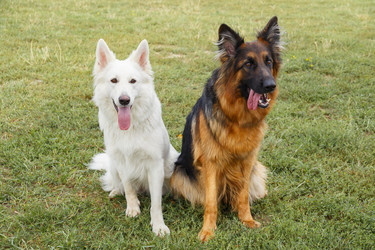 Similar image 6460183