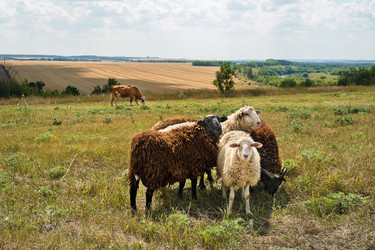 Similar image 6460322