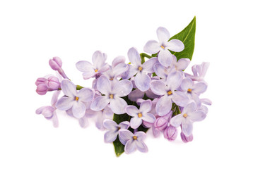 Similar image 6460354