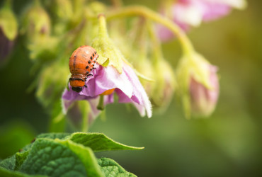 Similar image 6460361