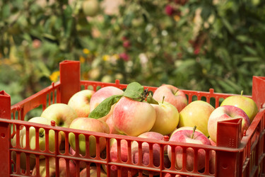 Similar image 6460432