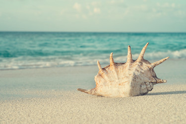 Similar image 6460433