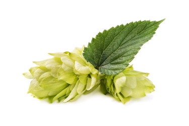 Similar image 6460443