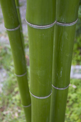 Similar image 6460727