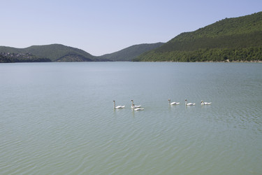 Similar image 6460732