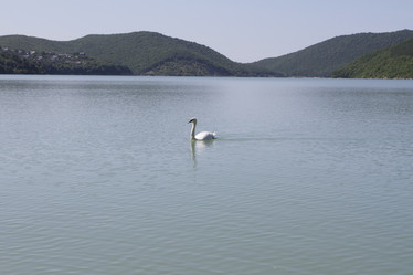 Similar image 6460734