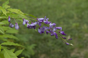 Similar image 6460751