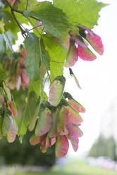 Similar image 6460764