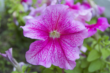 Similar image 6460765