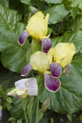 Similar image 6460772