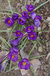 Similar image 6460778