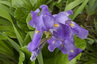 Similar image 6460780