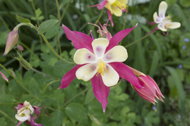 Similar image 6460782