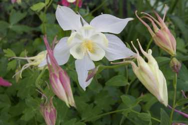 Similar image 6460787