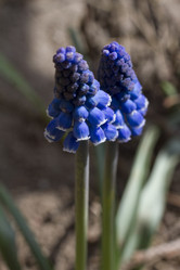 Similar image 6460793