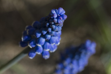 Similar image 6460794