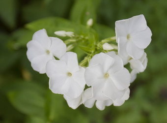 Similar image 6460796