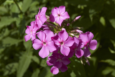 Similar image 6460801