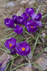 Similar image 6460802